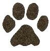 Merlin Paw Print